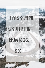 前5个月湖北省进出口同比增长26.9%