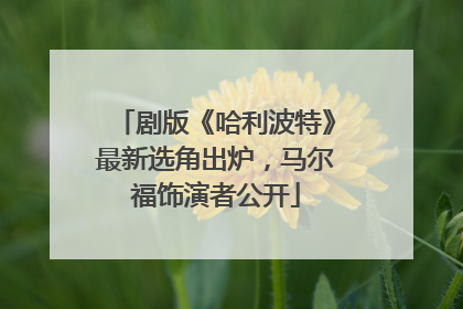 剧版《哈利波特》最新选角出炉，马尔福饰演者公开