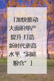 加快推动大面积单产提升 打造新时代更高水平“洞庭粮仓”
