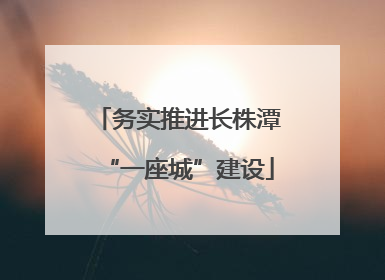 务实推进长株潭“一座城”建设