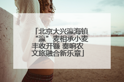 北京大兴瀛海镇“瀛”麦相承小麦丰收开镰 奏响农文旅融合新乐章