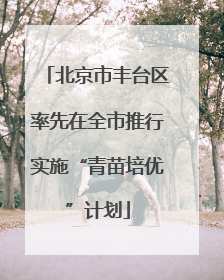 北京市丰台区率先在全市推行实施“青苗培优”计划