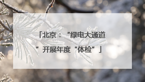 北京：“绿电大通道”开展年度“体检”