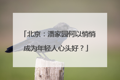 北京：潘家园何以悄悄成为年轻人心头好？