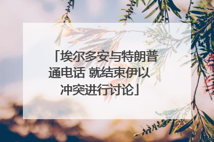 埃尔多安与特朗普通电话 就结束伊以冲突进行讨论