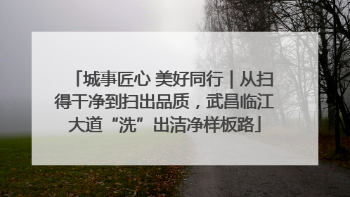 城事匠心 美好同行｜从扫得干净到扫出品质，武昌临江大道“洗”出洁净样板路
