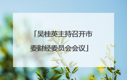 吴桂英主持召开市委财经委员会会议
