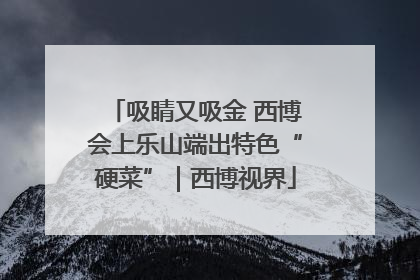 吸睛又吸金 西博会上乐山端出特色“硬菜”｜西博视界