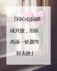 同心公园建成开放，市区再添一处遛弯好去处
