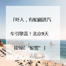 吓人，有蛇藏进汽车引擎盖！北京9天接9起“蛇警”