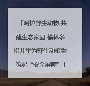 呵护野生动物 共建生态家园 榆林多措并举为野生动植物筑起“安全屏障”