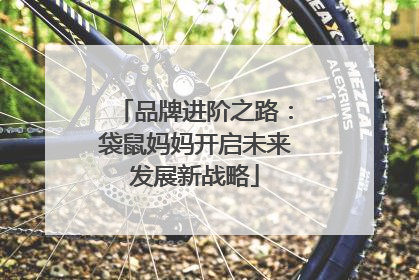 品牌进阶之路：袋鼠妈妈开启未来发展新战略