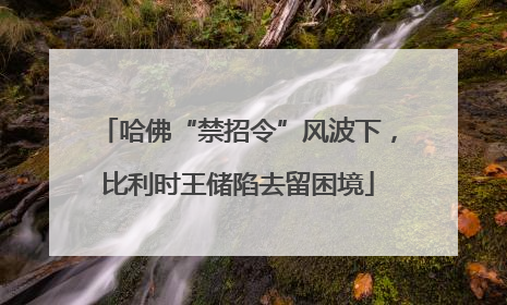 哈佛“禁招令”风波下，比利时王储陷去留困境