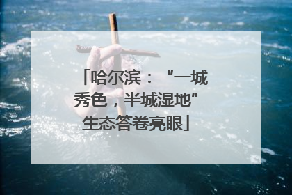 哈尔滨：“一城秀色，半城湿地”生态答卷亮眼