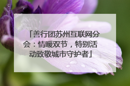 善行团苏州互联网分会：情暖双节，特别活动致敬城市守护者