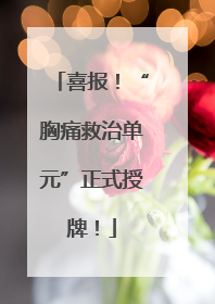 喜报！“胸痛救治单元”正式授牌！