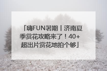 嗨FUN暑期丨济南夏季赏花攻略来了！40+超出片赏花地拍个够