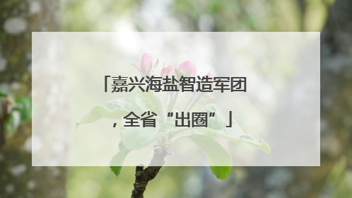 嘉兴海盐智造军团，全省“出圈”