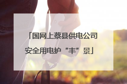 国网上蔡县供电公司安全用电护“丰”景