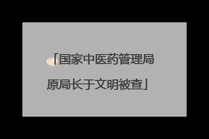 国家中医药管理局原局长于文明被查