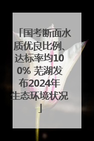 国考断面水质优良比例、达标率均100% 芜湖发布2024年生态环境状况