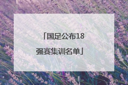 国足公布18强赛集训名单