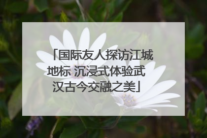 国际友人探访江城地标 沉浸式体验武汉古今交融之美