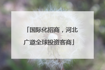 国际化招商，河北广邀全球投资客商