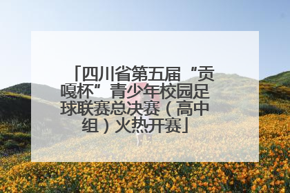 四川省第五届“贡嘎杯”青少年校园足球联赛总决赛（高中组）火热开赛
