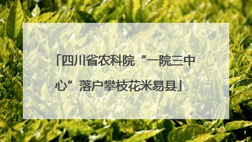 四川省农科院“一院三中心”落户攀枝花米易县