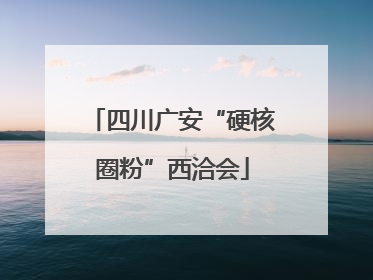 四川广安“硬核圈粉”西洽会