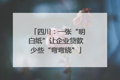 四川：一张“明白纸”让企业贷款少些“弯弯绕”