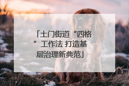 土门街道“四格”工作法 打造基层治理新典范