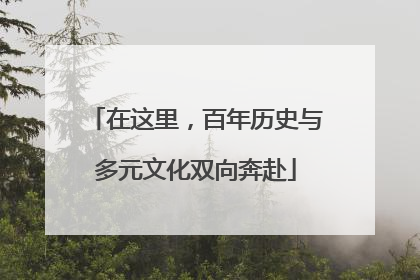 在这里，百年历史与多元文化双向奔赴
