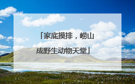 家底摸排，崂山成野生动物天堂