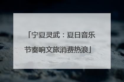 宁夏灵武：夏日音乐节奏响文旅消费热浪