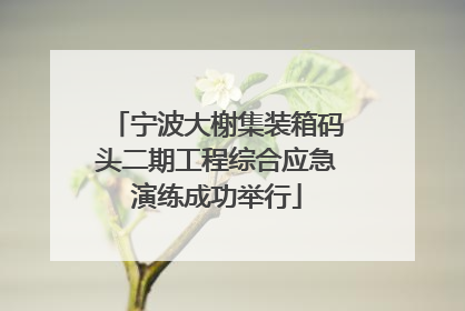 宁波大榭集装箱码头二期工程综合应急演练成功举行