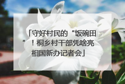 守好村民的“饭碗田”！桐乡村干部凭啥亮相国新办记者会