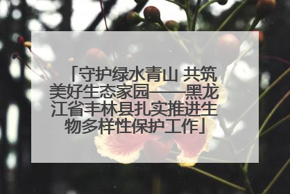 守护绿水青山 共筑美好生态家园——黑龙江省丰林县扎实推进生物多样性保护工作