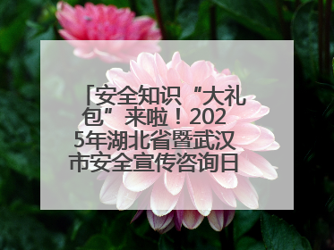 安全知识“大礼包”来啦！2025年湖北省暨武汉市安全宣传咨询日活动在汉举行