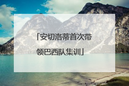 安切洛蒂首次带领巴西队集训