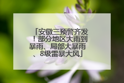 安徽三预警齐发！部分地区大雨到暴雨、局部大暴雨、8级雷暴大风