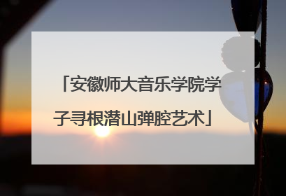 安徽师大音乐学院学子寻根潜山弹腔艺术