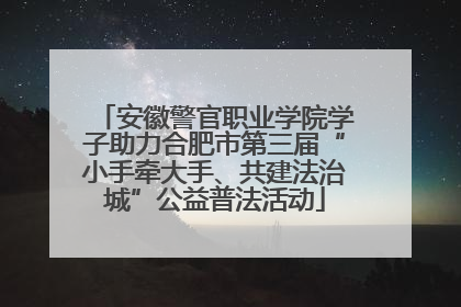 安徽警官职业学院学子助力合肥市第三届“小手牵大手、共建法治城”公益普法活动
