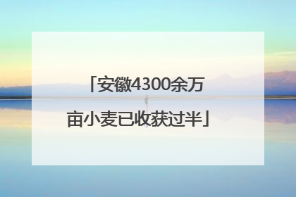 安徽4300余万亩小麦已收获过半