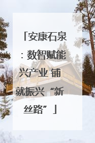 安康石泉：数智赋能兴产业 铺就振兴“新丝路”