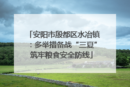 安阳市殷都区水冶镇：多举措备战“三夏” 筑牢粮食安全防线