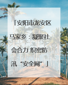 安阳市龙安区马家乡：凝聚社会合力 织密防汛“安全网”