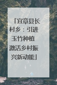 宜章县长村乡：引进玉竹种植 激活乡村振兴新动能