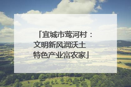 宜城市莺河村：文明新风润沃土 特色产业富农家
